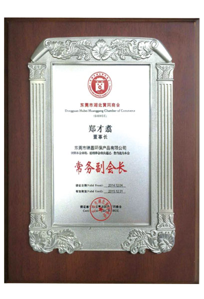 常務(wù)副會(huì)長