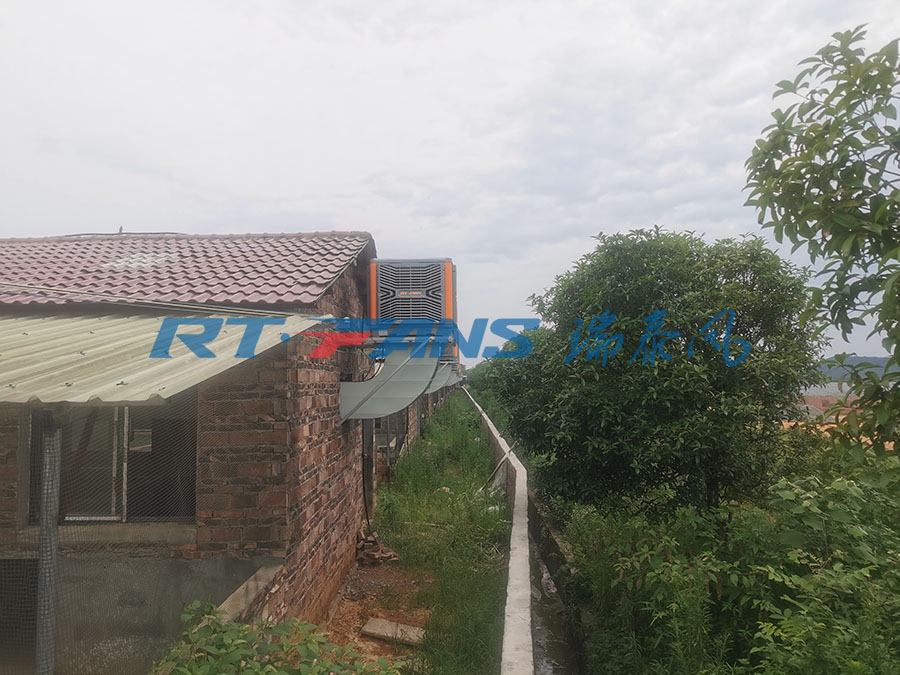 豬場降溫,濕簾冷風(fēng)機(jī),環(huán)?？照{(diào)