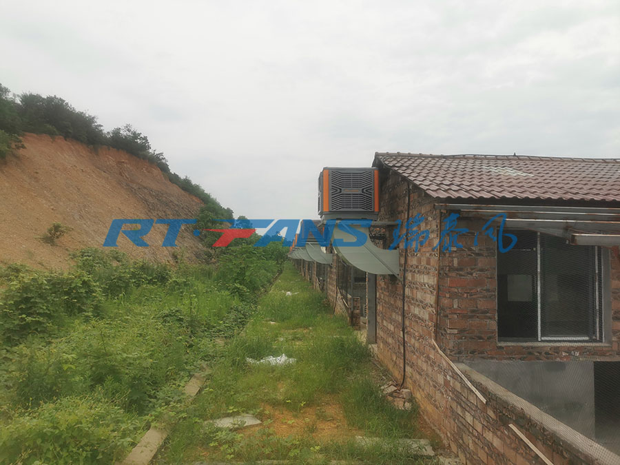 豬場降溫,濕簾冷風(fēng)機(jī),環(huán)?？照{(diào)